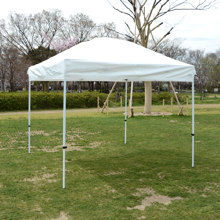 公園に設営したテント